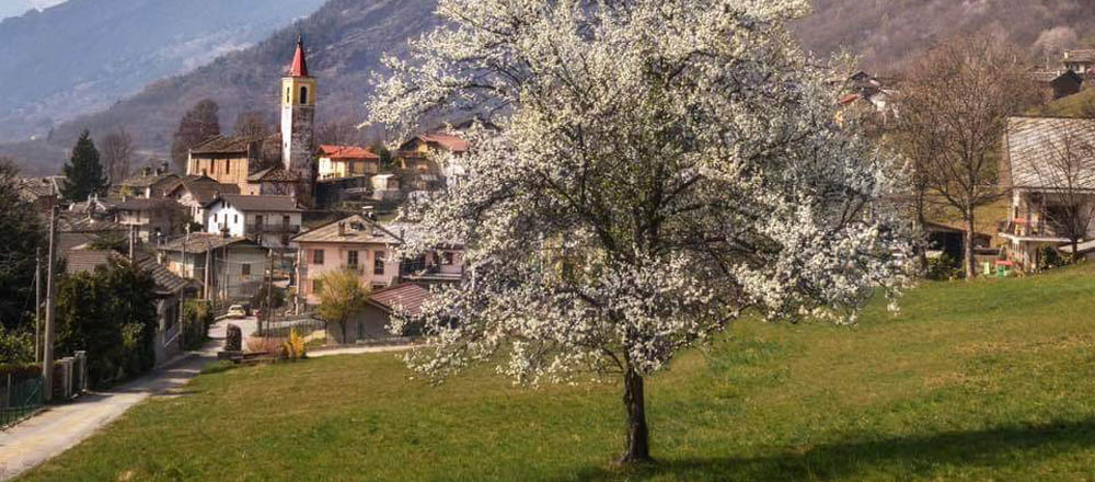 Foto di Raffaella Bonnin